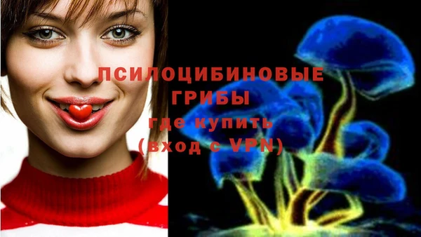каннабис Бородино