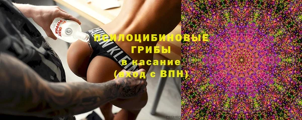 ГАЛЛЮЦИНОГЕННЫЕ ГРИБЫ Бугульма