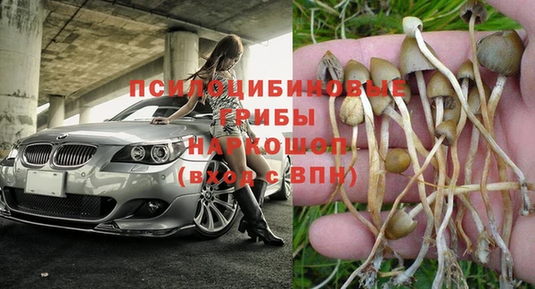 ГАЛЛЮЦИНОГЕННЫЕ ГРИБЫ Бугульма