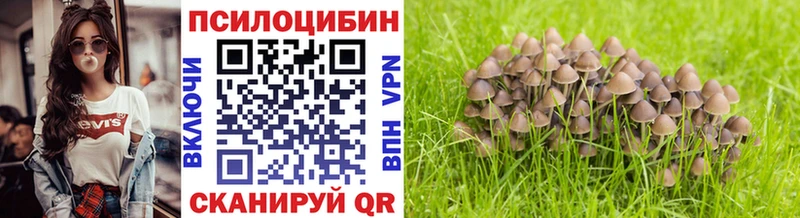 Псилоцибиновые грибы MAGIC MUSHROOMS  Шилка 